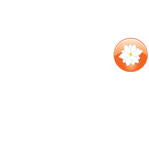 https://www.little-jasmine.com/